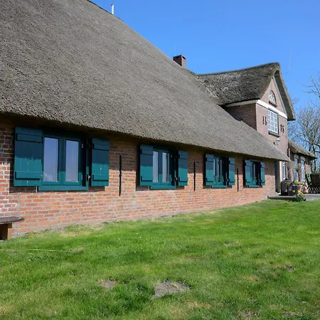 Treibholz * Westerhever