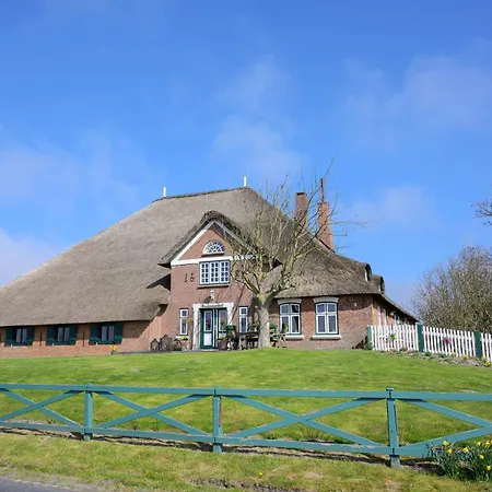 Treibholz Westerhever